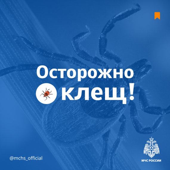 Внимание, клещи!!!.